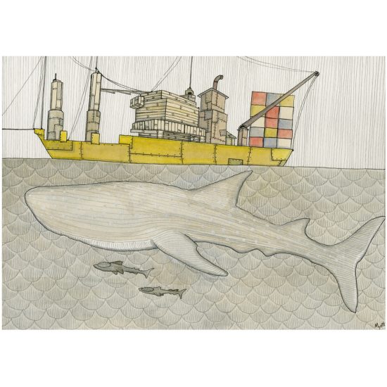 Whale Shark original painting by Christopher Myott
