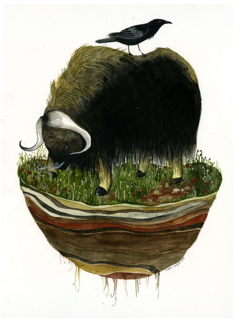 Island Biogeography (musk ox) original painting by Diana Sudyka
