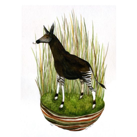 Okapi original painting by Diana Sudyka