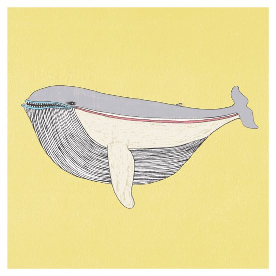 Whale print by Jennifer Davis