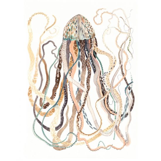 Antique Jellyfish print by Michelle Morin