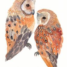 Two Barn Owls print by Michelle Morin