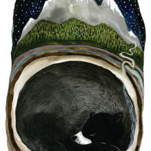 Bear Mountain by Diana Sudyka