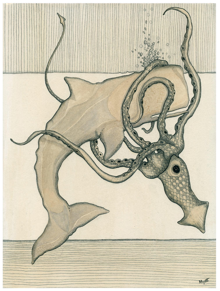 Whale and Squid by Christopher Myott
