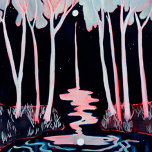 Swimming in Stars by Danielle Winger