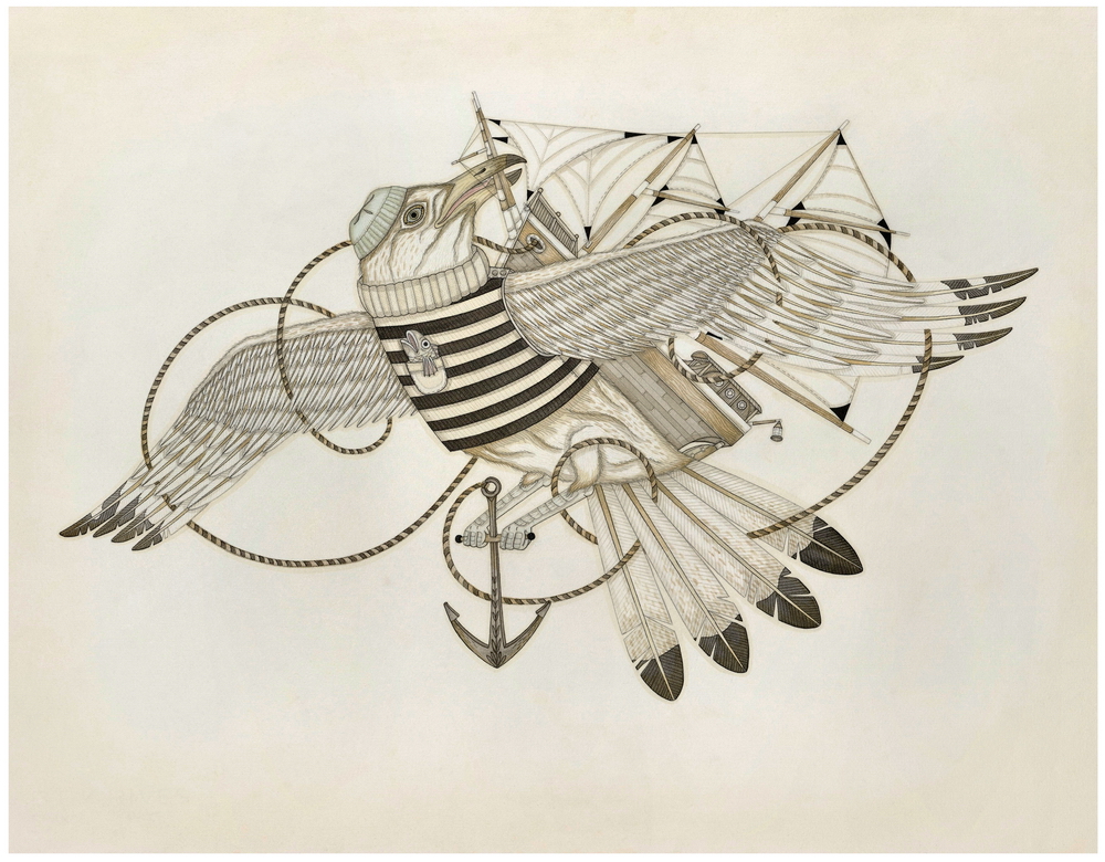 Seagull and the Sailors Knot by Evan B. Harris