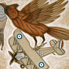Red Bird and the Biplane by Evan B. Harris