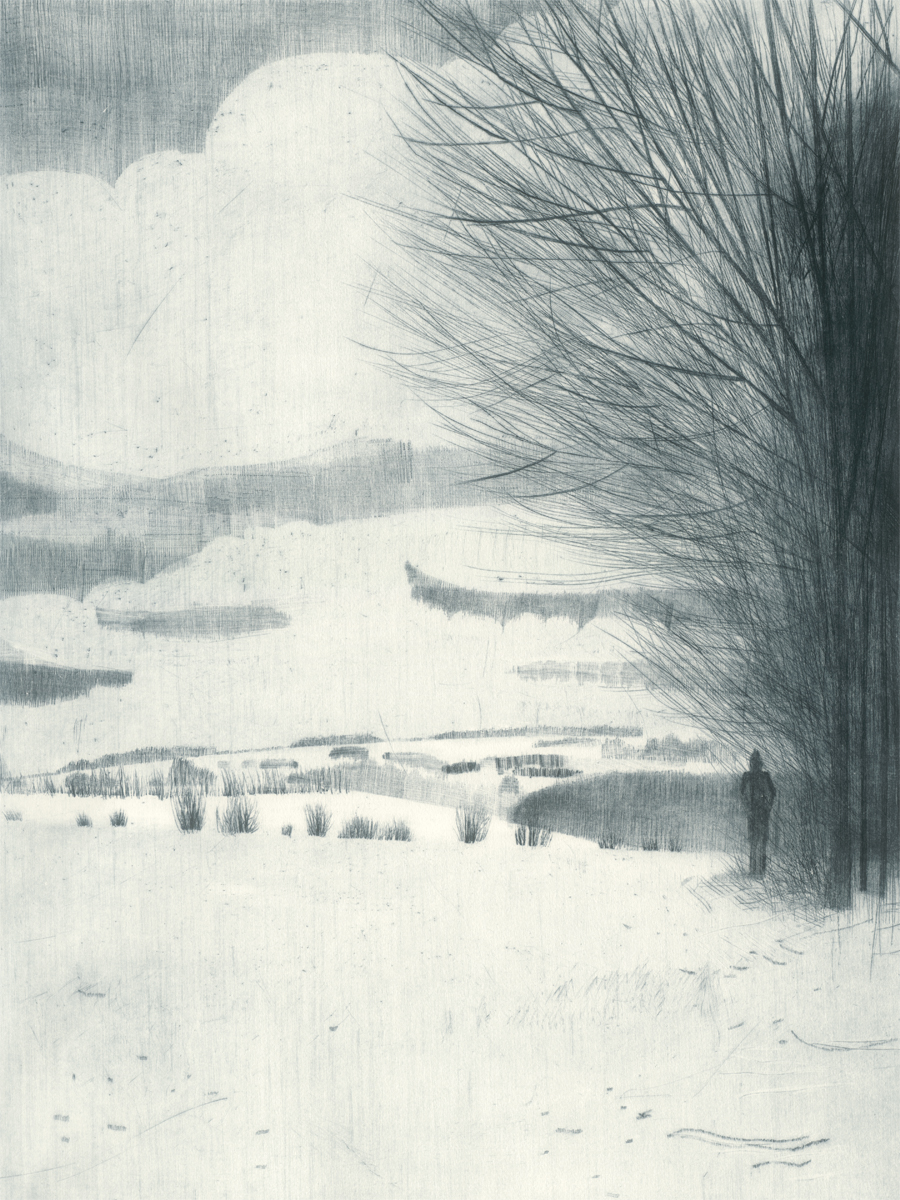 Winter Trees by Katja Lang