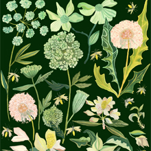 June by Michelle Morin