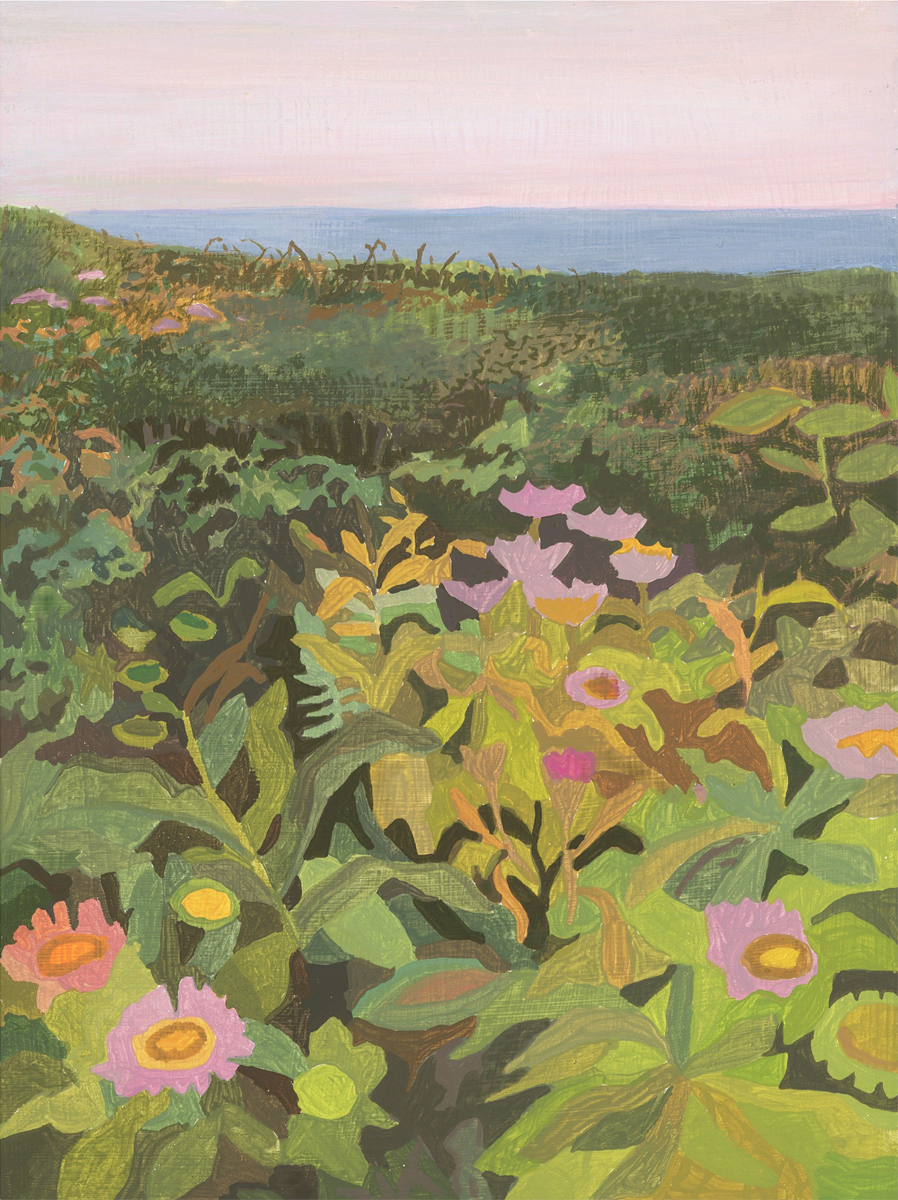 Seaside Daisies by Michelle Morin