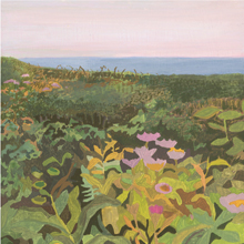 Seaside Daisies by Michelle Morin