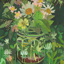 Wild Roses by Michelle Morin