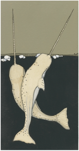 Narwhal by Christopher Myott