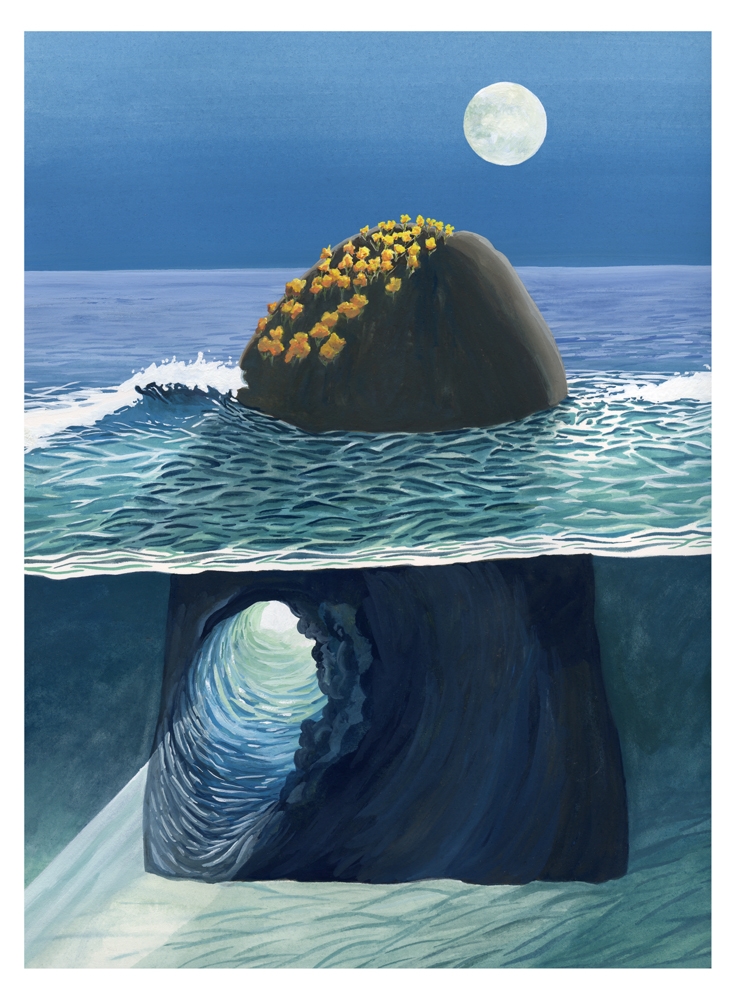 Moon Rock by Hallie Rose Taylor