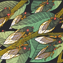 Brood X by Jay Ryan