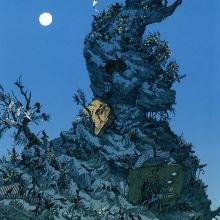 Bucholy by Landland